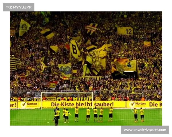 德甲球迷文化研究：威斯特法伦南看台效应数据揭秘